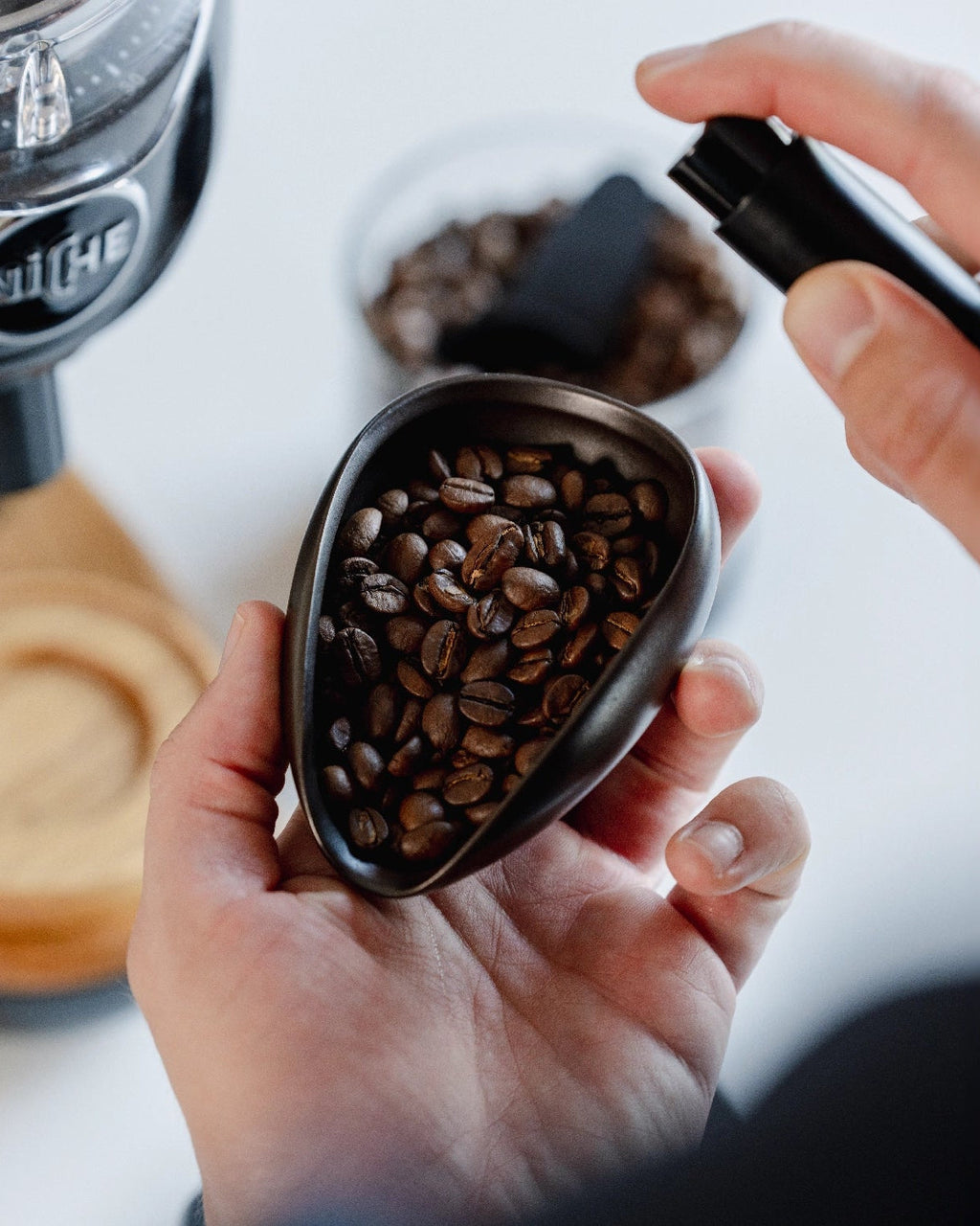 Coffee Dosing Tray