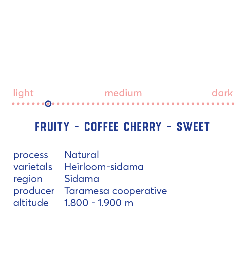 Ethiopia Sidama Natural Filter