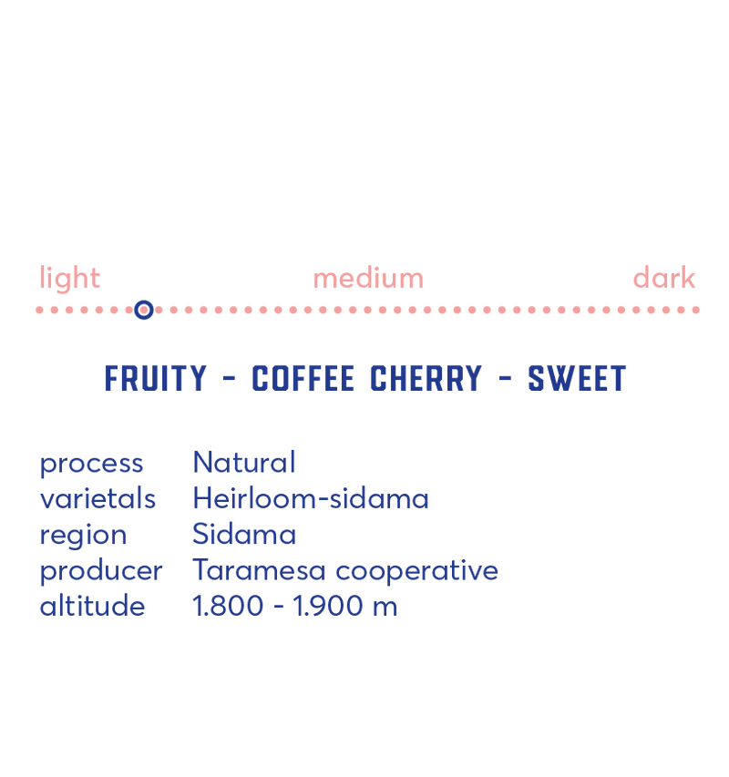 Ethiopia Sidama Natural Filter